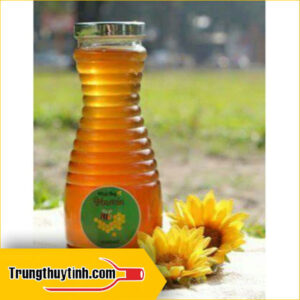 chai thuy tinh dung mat ong 1000ml hinh ong